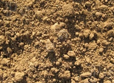 Суха почва