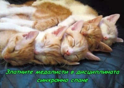 Сън на 5-та степен