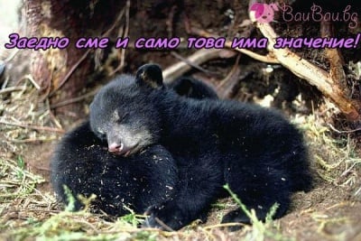 Сън в гората