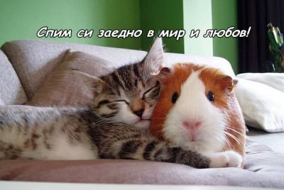 Сън в мир и любов