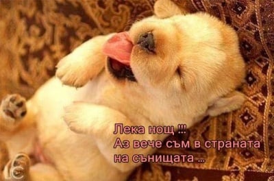 Сънчо дойде!