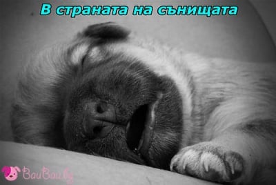 "Вече отпътувах..."