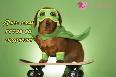 Супер герой на деня