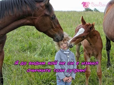 Нежен сутрешен тоалет