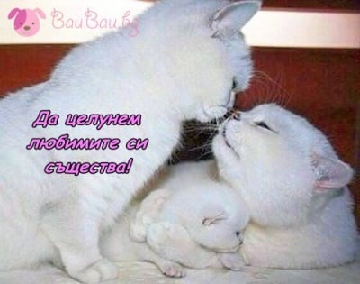 Световен ден на целувката