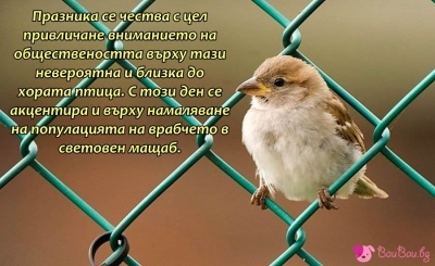 20 Март - Световен ден на врабчето