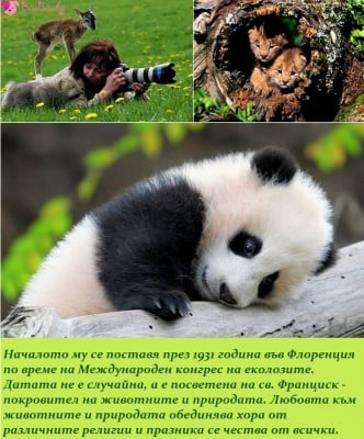 04 Октомври - Световен ден за Защита на животните