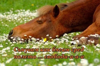 Свободен в съня си