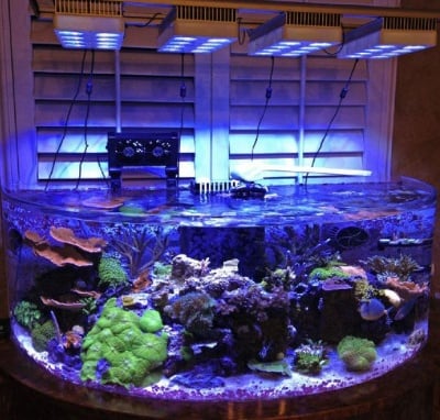 Светлината в аквариума