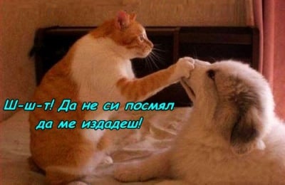 Таен заговор :) 