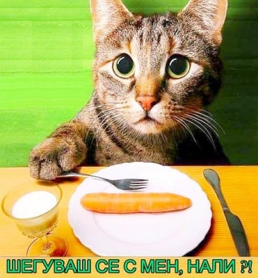 Шегуваш ли се с мен?