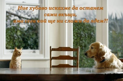 И големият въпрос е...