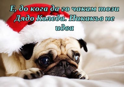 Чака ли чака дядо Коледа ...