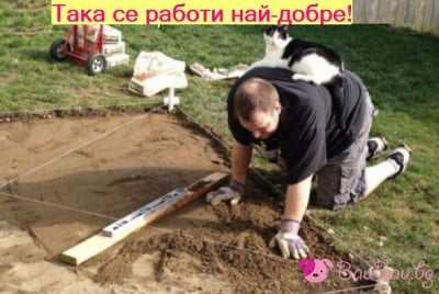 Това е шефът да ти виси на главата ...