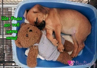 Така се спи спокойно