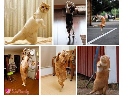 Хайде да потанцуваме!