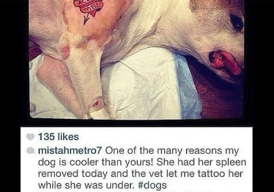 Татуировка на Мел