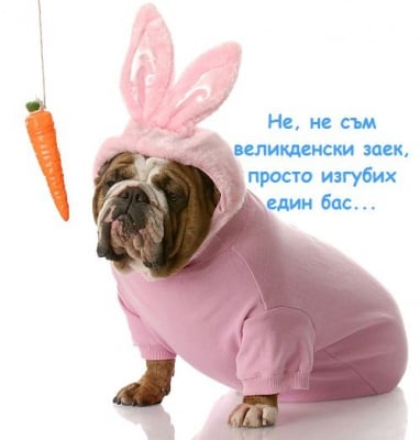 Тази година великденският заек излезе в отпуска и...