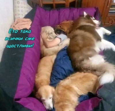 Терапевтично легло - лекува всичко с любов!