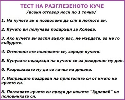 Тест на разглезеното куче