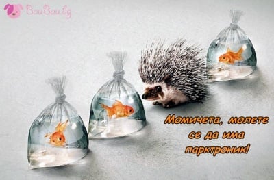 Тест за прецизно паркиране