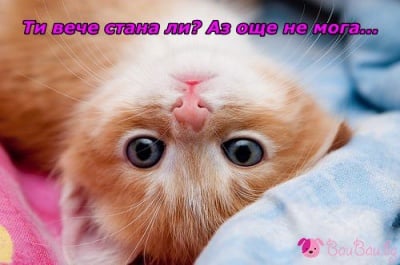 "Така погледнато още не е дошло време за ставане!"