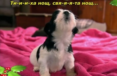 Ти-и-и-ха нощ, свя-я-я-та нощ...