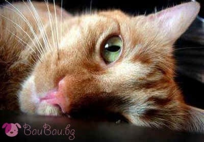 "Току-що отварям очи"