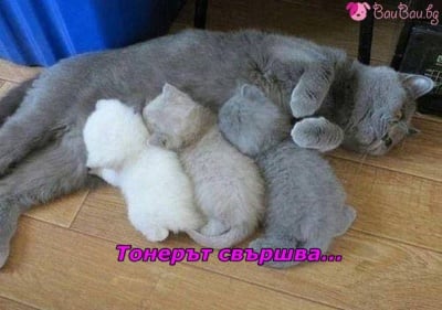 Да оправим настройките на принтера :)