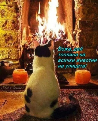 Домашният уют е незаменим