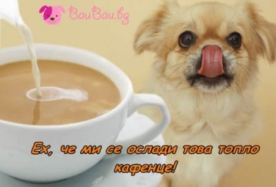 Топло сладко кафенце