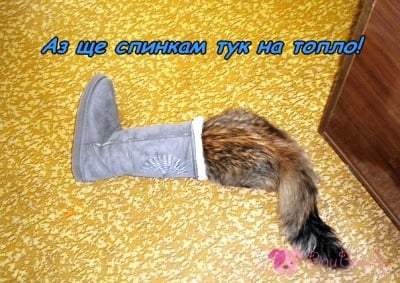 Топло легло