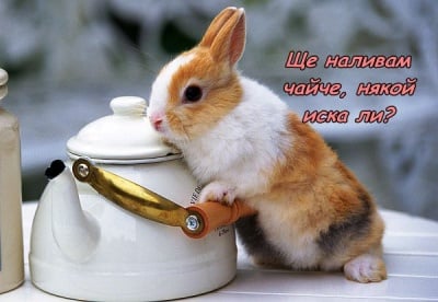 Топъл чай, поднесен с любов