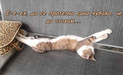 Това е да не бързаш за работа!