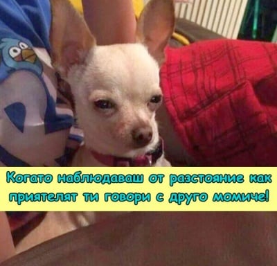 Това е погледът ...