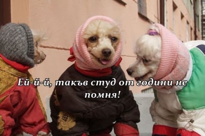 Трио в студа