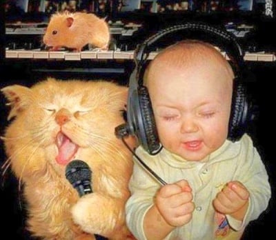 Трио "БеХамКо"