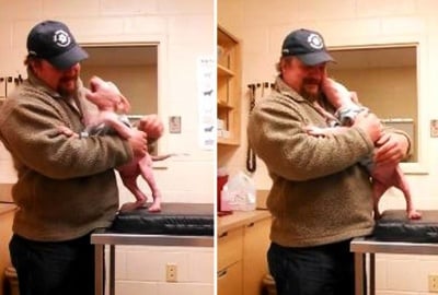 Трогателни кадри на кученце, което веднага разпознава своя спасител