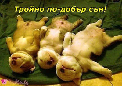 Приятни сънища на трета степен