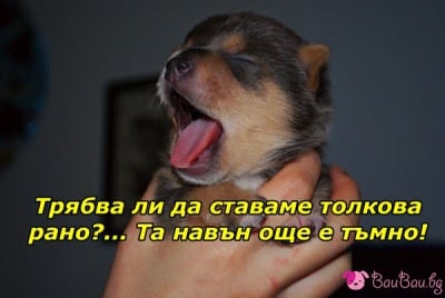 Пак е понеделник