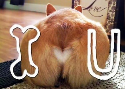 Трудно ми е да опиша колко много те обичам...