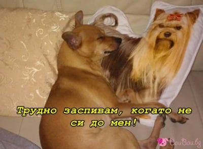 Добре е да не си сам