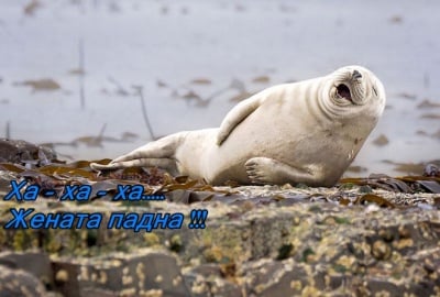 Да се посмеем на чужд гръб