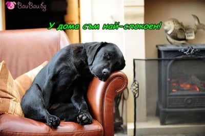 Домашният уют е незаменим