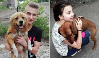 Ученици направиха дарение на плевенския приют за бездомни животни