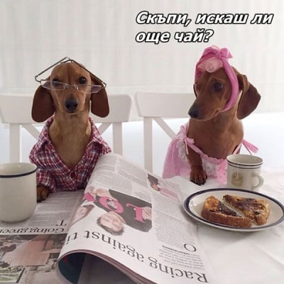 Семейна идилия