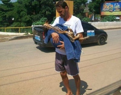 Уилсън с кучето