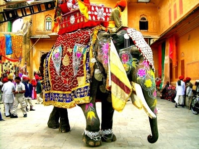 Украсен индийски слон