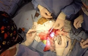 У нас бе направена първата по рода си сърдечна операция на куче-водач