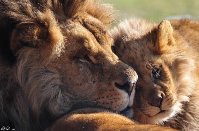 Красиви фотографии на уникалните създания на Майката Природа